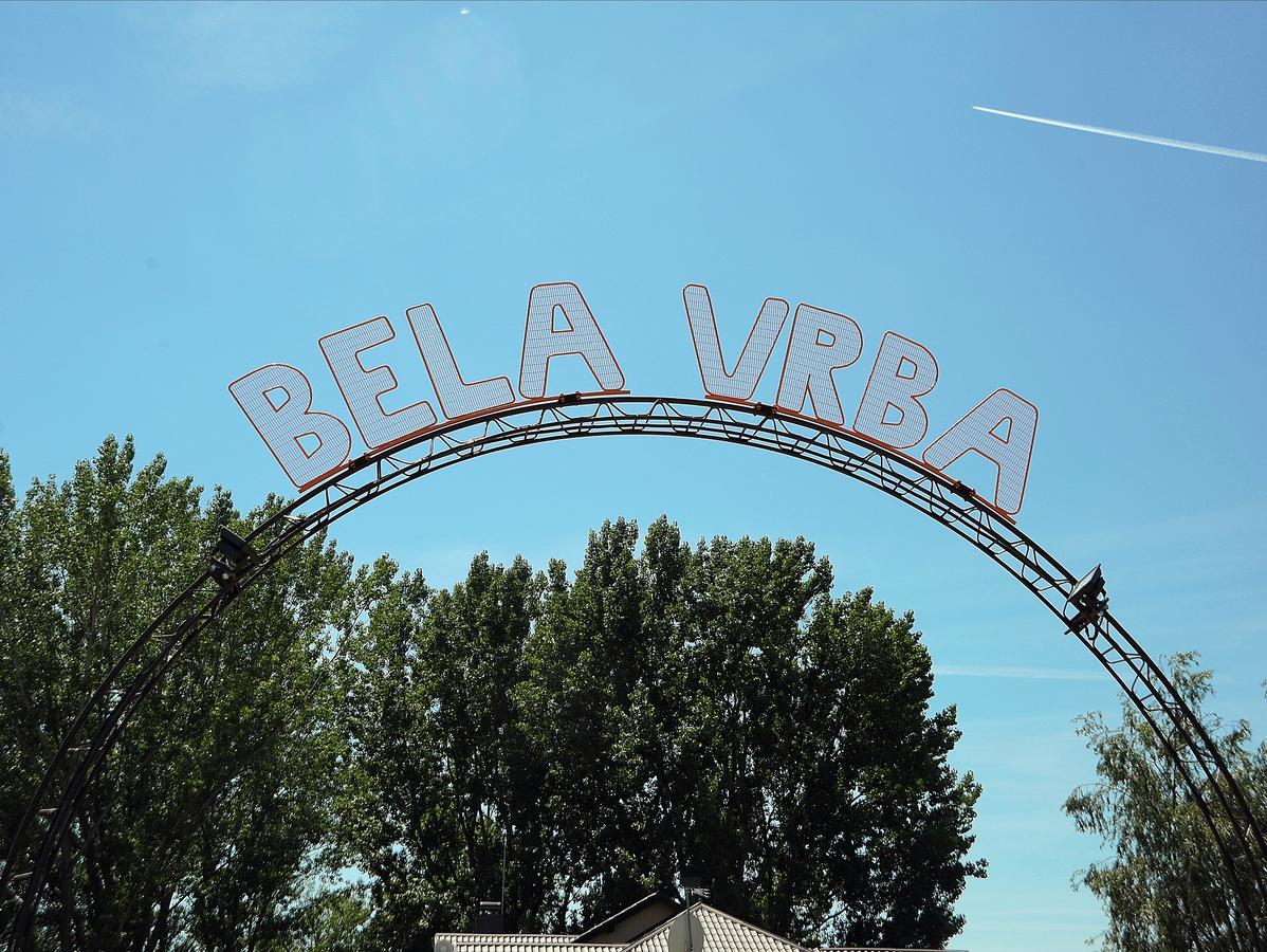B&B Bela Vrba Backo Novo Selo Eksteriør billede